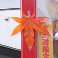 葉っぱ